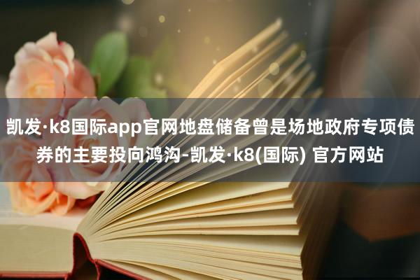 凯发·k8国际app官网地盘储备曾是场地政府专项债券的主要投向鸿沟-凯发·k8(国际) 官方网站