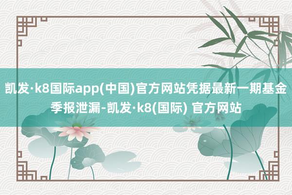 凯发·k8国际app(中国)官方网站凭据最新一期基金季报泄漏-凯发·k8(国际) 官方网站